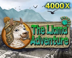 Llama Adventure - TROPICANA77