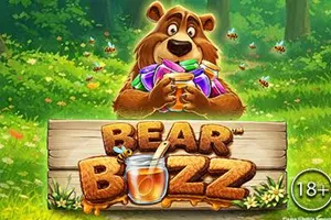 Bear Buzz - TROPICANA77