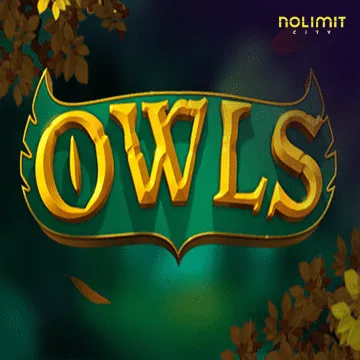 Owls - TROPICANA77