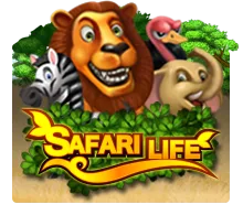 Safari Life - TROPICANA77