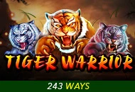 Spadegaming : Tiger Warrior - TROPICANA77