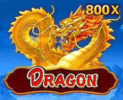 Dragon - TROPICANA77