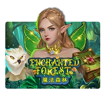 Enchanted Forest - TROPICANA77